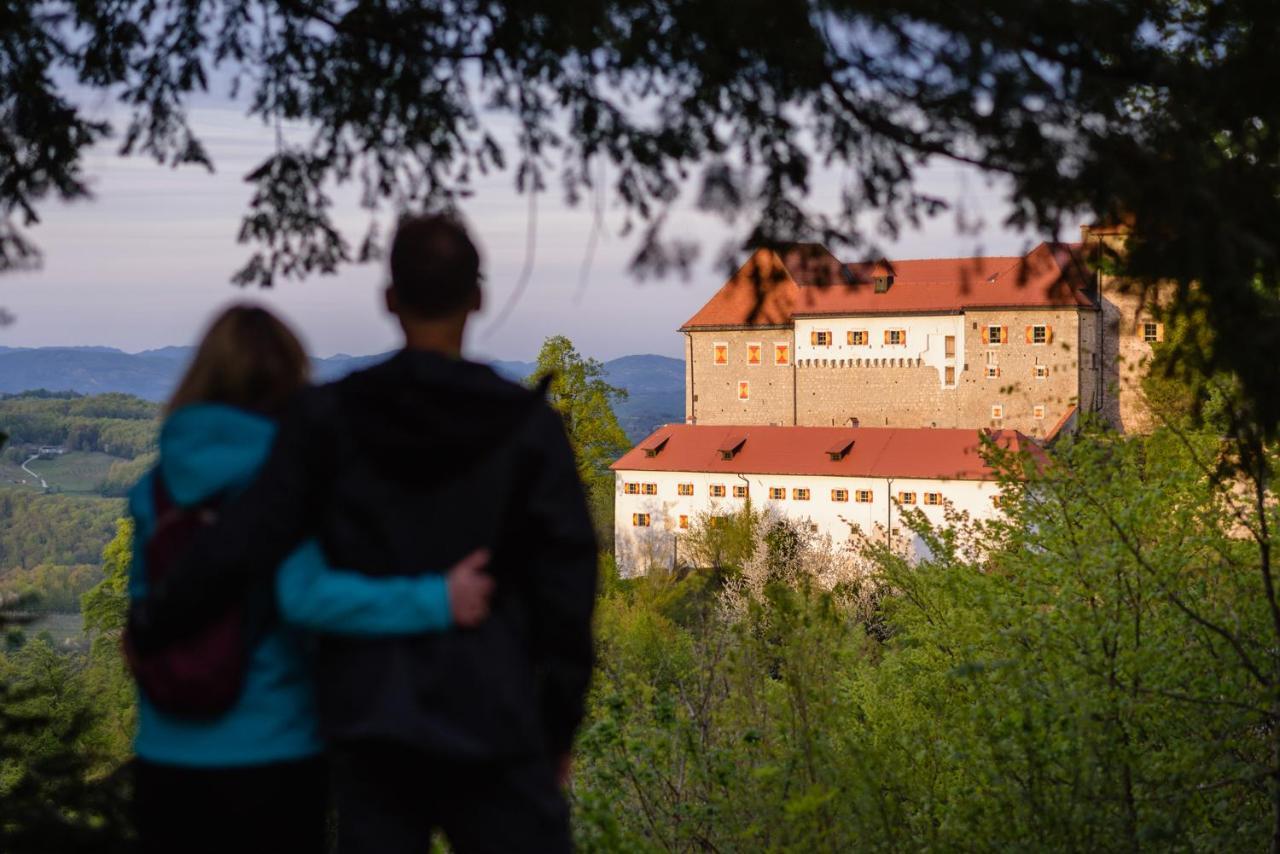 & Castle Apartment Podsreda